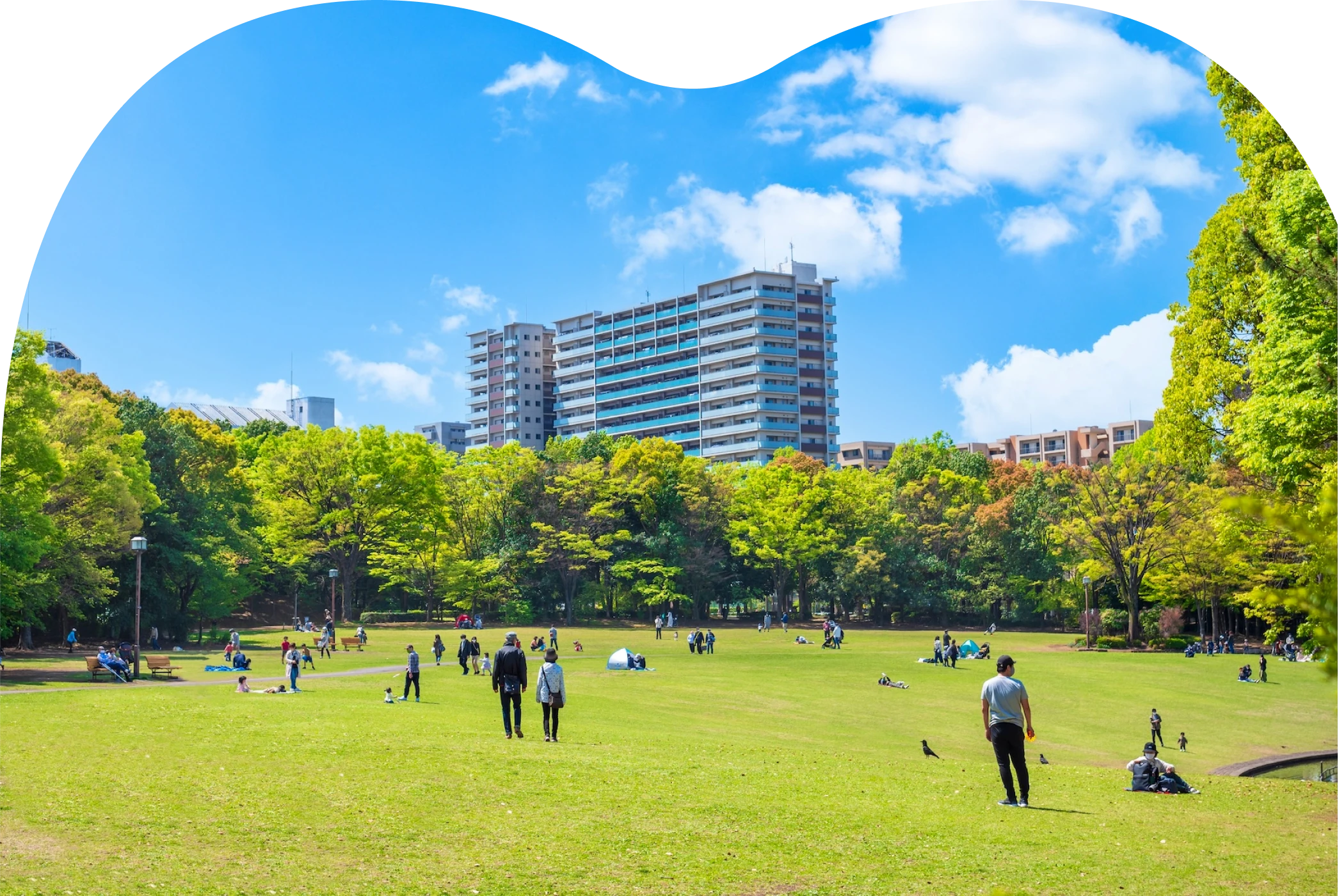 青空と芝生の広場